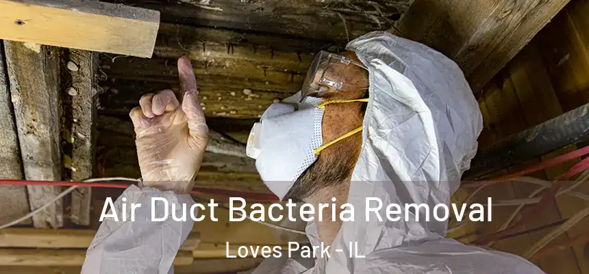  Air Duct Bacteria Removal Loves Park - IL