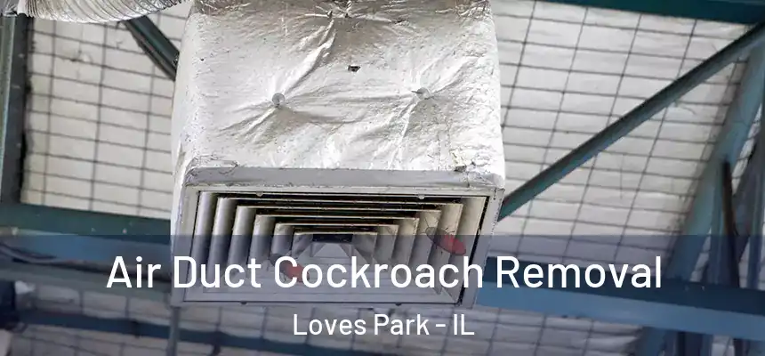 Air Duct Cockroach Removal Loves Park - IL