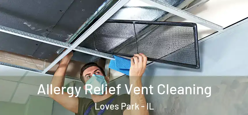 Allergy Relief Vent Cleaning Loves Park - IL