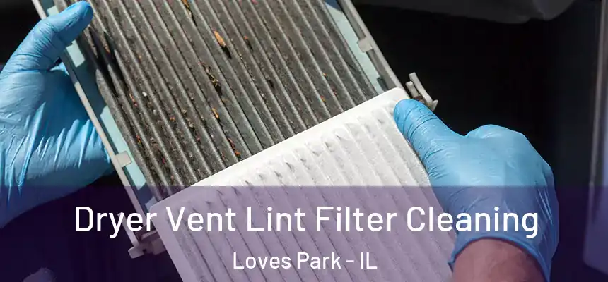  Dryer Vent Lint Filter Cleaning Loves Park - IL