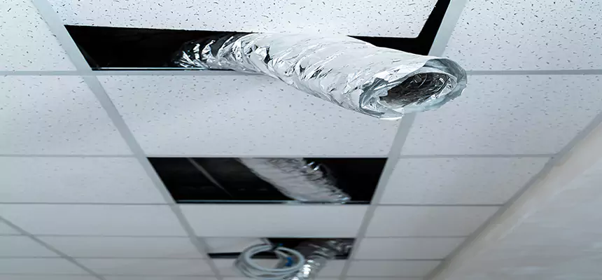 Affordable HVAC Sanitizing After Pest Removal in Loves Park