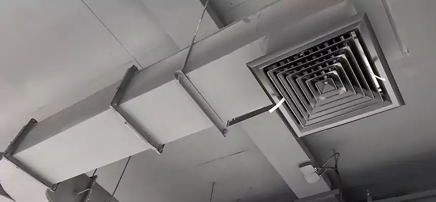 Restorative Allergy Relief Vent Cleaning – Coil, Blower & Housing Detail in Loves Park