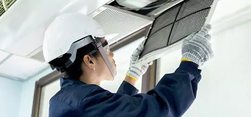 Our Mold & Mildew Removal from Air Ducts Services in Loves Park, IL