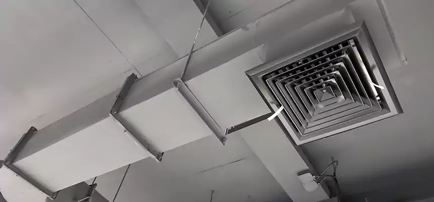 Our Pest Removal From Ducts Services in Loves Park, IL