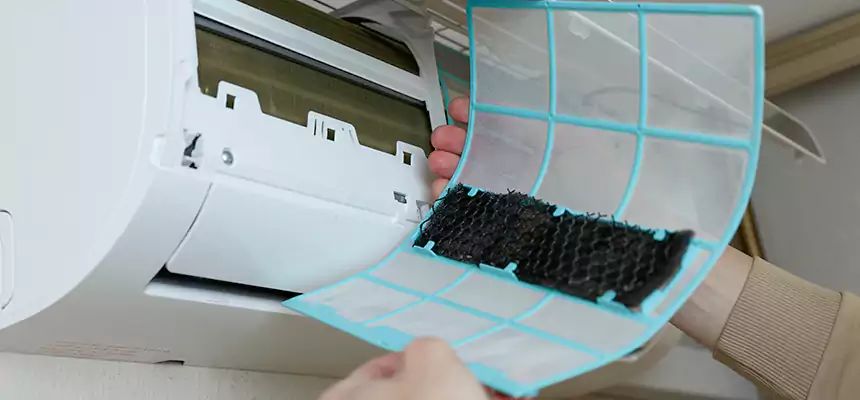 Gentle Ductwork Odor-Control Pet Dander Duct Cleaning in Loves Park, IL