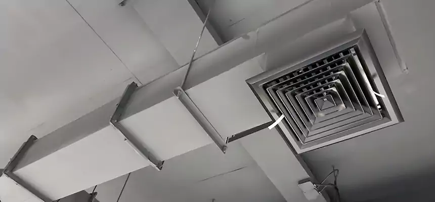 Our Rodent Droppings In Vents Services in Loves Park, IL