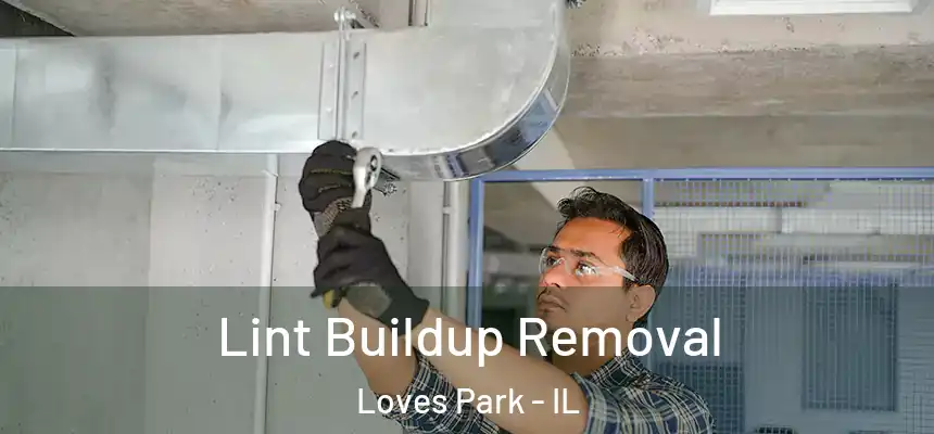  Lint Buildup Removal Loves Park - IL