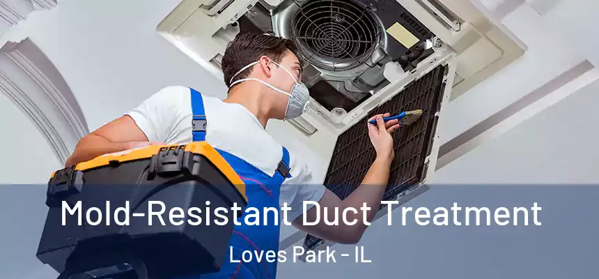  Mold-Resistant Duct Treatment Loves Park - IL