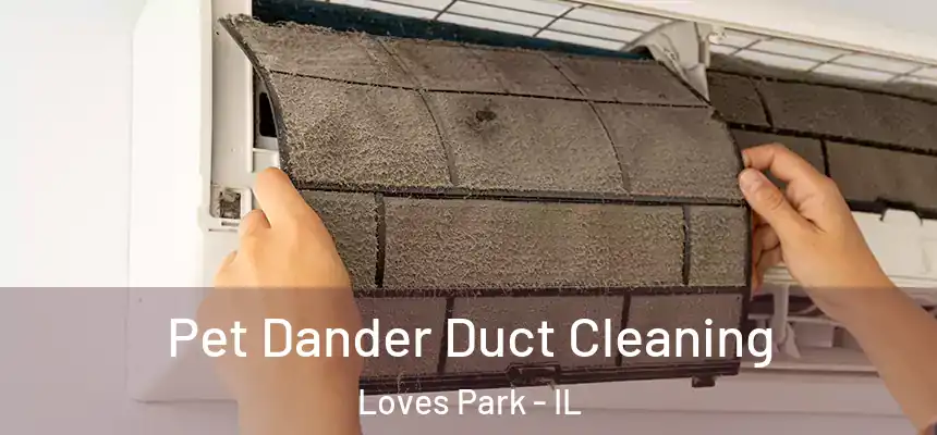  Pet Dander Duct Cleaning Loves Park - IL