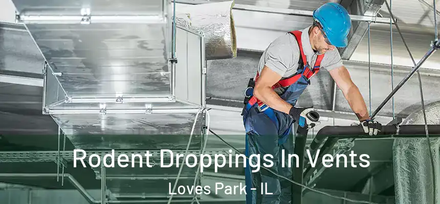Rodent Droppings In Vents Loves Park - IL