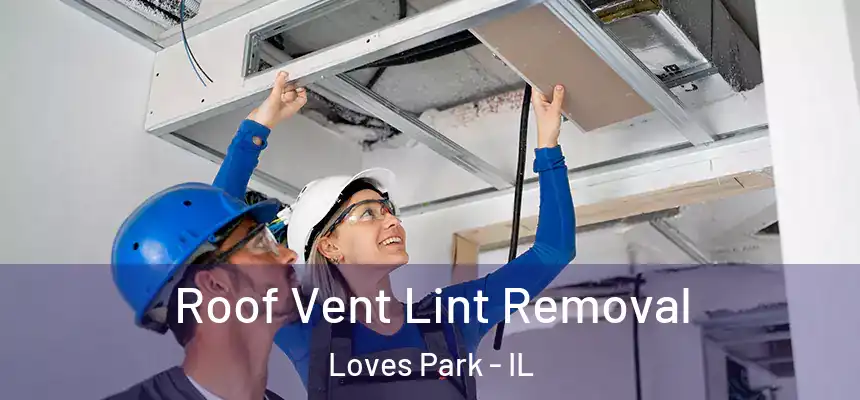 Roof Vent Lint Removal Loves Park - IL