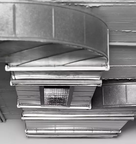 Professional Air Duct Pet Hair Removal in Loves Park, IL