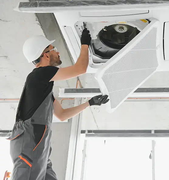 About Air Duct Rodent Removal in Loves Park, IL