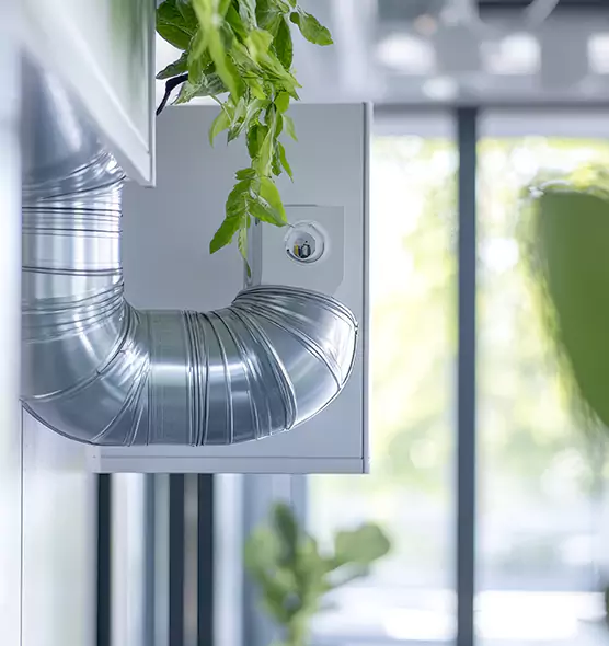 Professional Eco-Friendly Duct Cleaning Services in Loves Park, IL