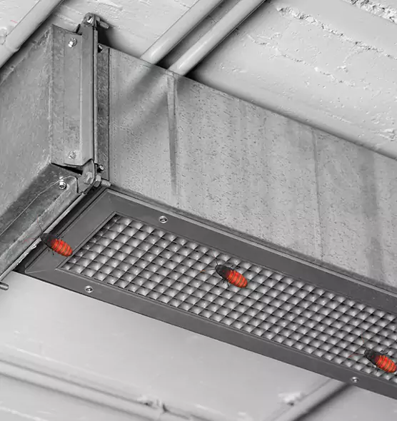 Affordable Insect Removal from Air Ducts in Loves Park, IL