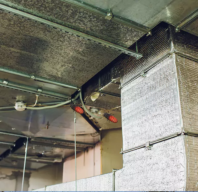 Why Homeowners & Businesses Trust Us Loves Park, IL?