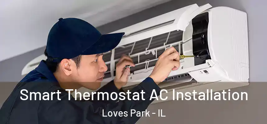  Smart Thermostat AC Installation Loves Park - IL