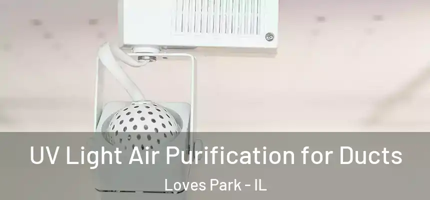  UV Light Air Purification for Ducts Loves Park - IL