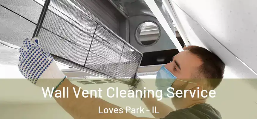  Wall Vent Cleaning Service Loves Park - IL